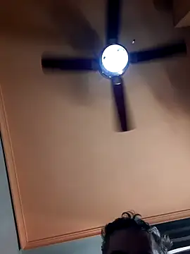 Colorao4 online show from November 18, 2025, 2:20 pm