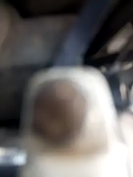 sadunt online show from January 23, 2025, 9:08 am