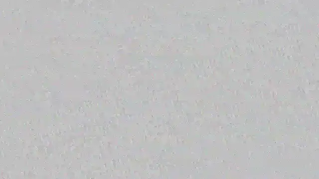 mara jackson  online show from March 14, 2025, 11:00 pm