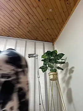 Snapshot of Milff_parkerrr chatting on March 7, 2025, 8:55 pm Milff parkerrr online show from March 7, 2025, 8:55 pm