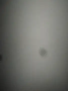 Snapshot of rohitlov150 chatting on February 24, 2025, 2:40 am rohitlov150 online show from February 24, 2025, 2:40 am