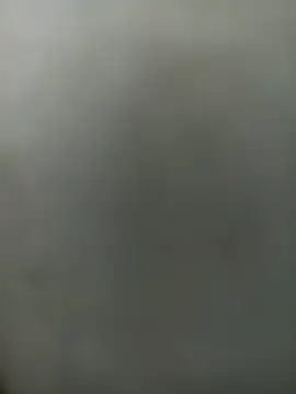 wildfox566 online show from March 30, 2026, 3:41 am
