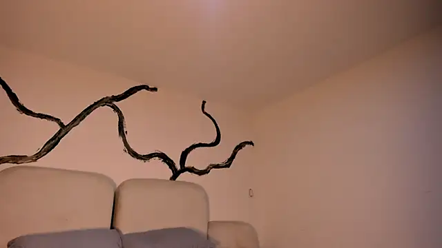 Snapshot of EthanTravis_ chatting on February 11, 2025, 7:33 am EthanTravis online show from February 11, 2025, 7:33 am