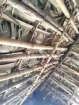 Snapshot of Mrveda66 chatting on February 9, 2026, 6:22 am Mrveda66 online show from February 9, 2026, 6:22 am