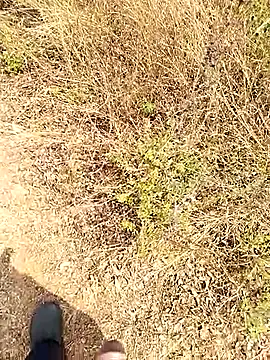 Snapshot of Mrveda66 chatting on February 23, 2026, 6:14 am Mrveda66 online show from February 23, 2026, 6:14 am