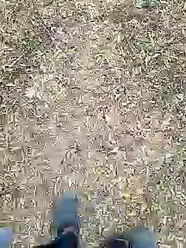 Snapshot of Mrveda66 chatting on February 10, 2026, 11:09 am Mrveda66 online show from February 10, 2026, 11:09 am