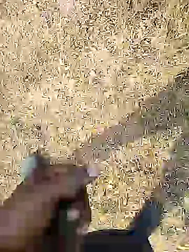 Snapshot of Mrveda66 chatting on February 18, 2026, 10:01 am Mrveda66 online show from February 18, 2026, 10:01 am