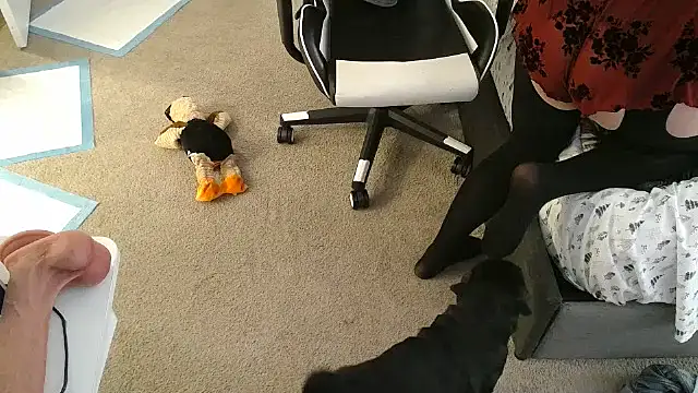 tan4868 online show from November 18, 2025, 1:21 am