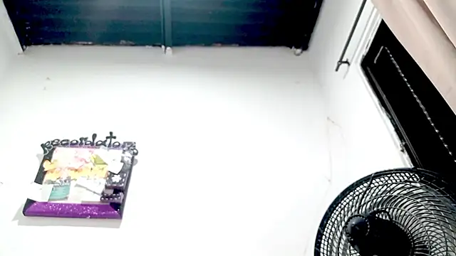 PetiteIvoryQueen19 online show from November 18, 2025, 3:32 am