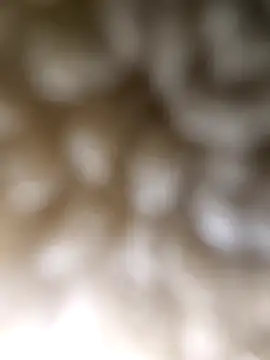 Snapshot of ch___ro69 chatting on March 5, 2026, 9:22 pm ch ro69 online show from March 5, 2026, 9:22 pm