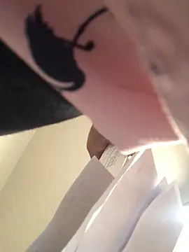 sexysal305 online show from September 12, 2025, 12:11 am