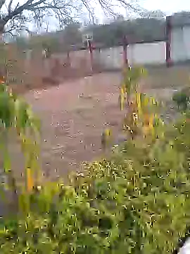 Snapshot of AuntyLover_BhabhiLover_ chatting on February 6, 2025, 12:04 pm AuntyLover BhabhiLover online show from February 6, 2025, 12:04 pm