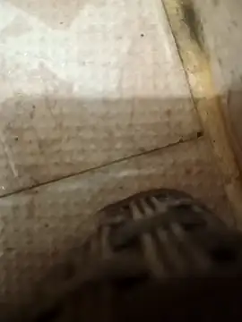 pintuS40 online show from October 9, 2025, 1:39 am