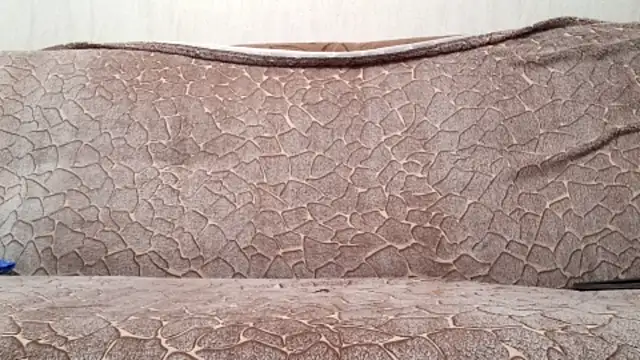 Snapshot of AlDON59 chatting on November 28, 2025, 8:03 am AlDON59 online show from November 28, 2025, 8:03 am