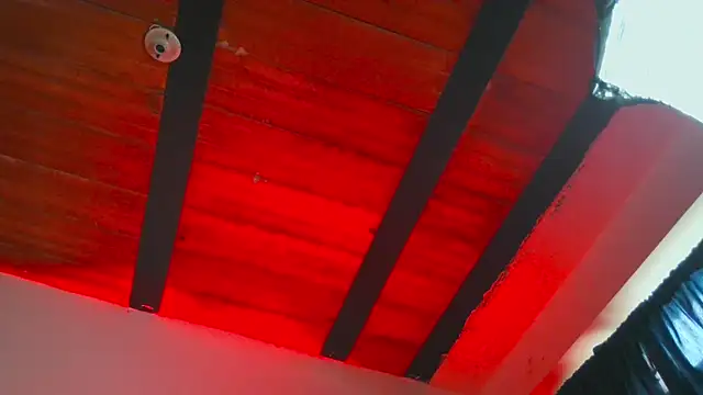 Snapshot of Leonnardo_Jaramillo chatting on February 25, 2025, 1:10 pm Leonnardo Jaramillo online show from February 25, 2025, 1:10 pm