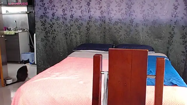 miia-big1boobs  online show from July 9, 2026, 8:30 pm