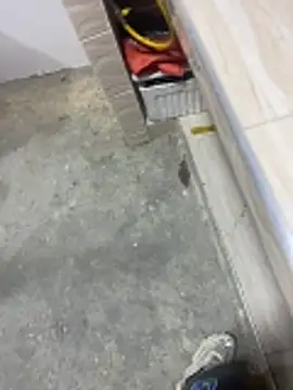 macg96 online show from December 20, 2025, 8:06 am