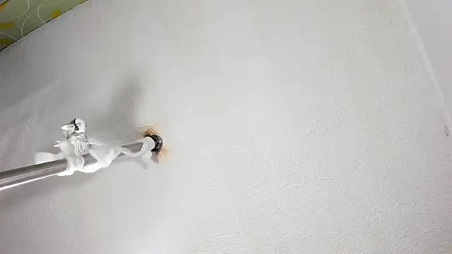 ZachaTompson online show from October 31, 2025, 1:35 am