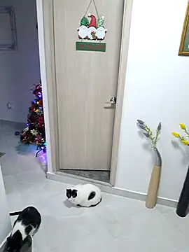 Mia Ruiz online show from November 30, 2025, 3:07 am