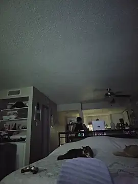 DevilDahm online show from February 9, 2026, 5:49 am