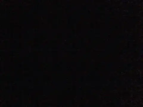 elsaiya online show from February 4, 2025, 2:17 am