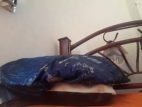  afrodita sex online show from February 10, 2025, 7:49 pm