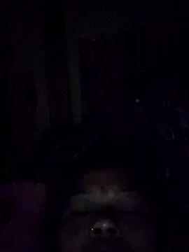 Snapshot of Bangarupapa chatting on February 26, 2026, 12:32 am Bangarupapa online show from February 26, 2026, 12:32 am