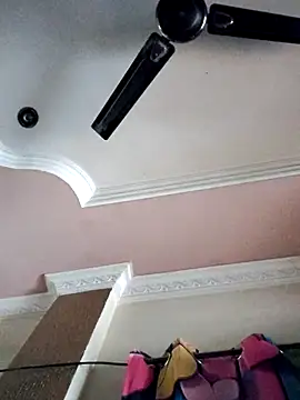 Bangarupapa online show from October 26, 2025, 8:04 am