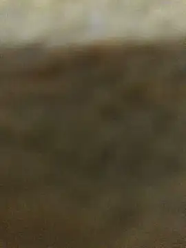 Snapshot of Bigdick_pedro chatting on September 9, 2025, 1:49 am Bigdick pedro online show from September 9, 2025, 1:49 am