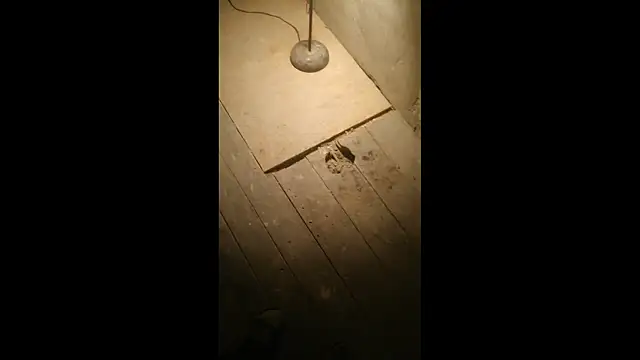 Snapshot of Bdsmslavebi chatting on March 23, 2026, 2:33 am Bdsmslavebi online show from March 23, 2026, 2:33 am