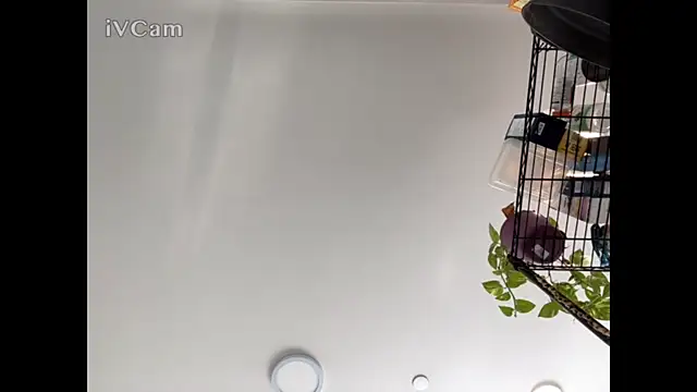 MisterHardCockk online show from December 22, 2025, 7:03 pm