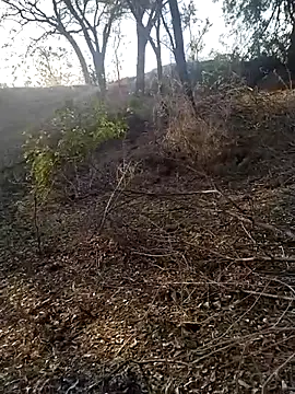 jellydicks online show from February 21, 2026, 2:02 am