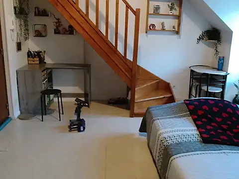 Lauzo21 online show from February 26, 2026, 6:35 am