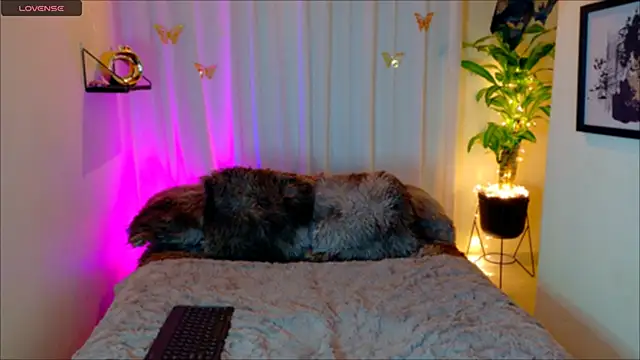 Kaaiiri online show from March 17, 2026, 10:29 am