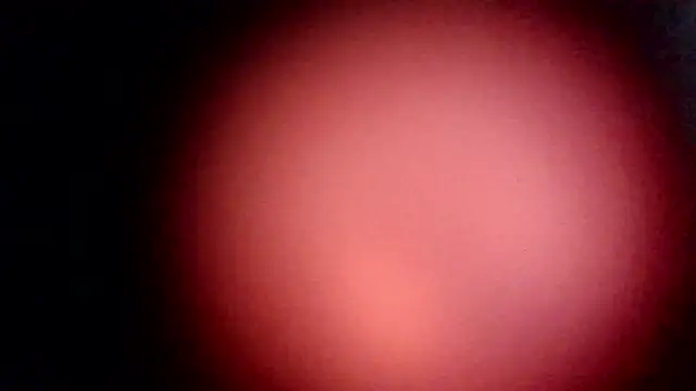 Snapshot of modenq chatting on March 20, 2026, 2:29 pm modenq online show from March 20, 2026, 2:29 pm