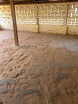 Snapshot of Black_mamba_madingo chatting on March 10, 2025, 10:50 am Black mamba madingo online show from March 10, 2025, 10:50 am