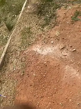 Snapshot of Black_mamba_madingo chatting on February 21, 2026, 9:44 am Black mamba madingo online show from February 21, 2026, 9:44 am