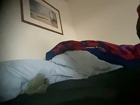 Snapshot of mackshaft4711 chatting on December 20, 2024, 2:59 pm mackshaft4711 online show from December 20, 2024, 2:59 pm