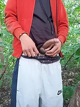 Snapshot of Piyush_2024 chatting on November 24, 2025, 1:38 am Piyush 2024 online show from November 24, 2025, 1:38 am