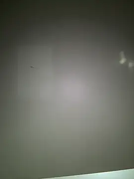 andressagdias online show from December 11, 2024, 5:32 am