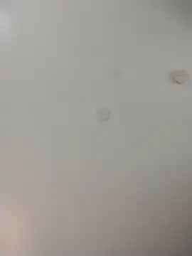 geilerschwanz64 online show from November 13, 2025, 10:02 pm