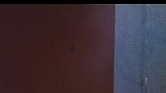 Snapshot of nextdoorneighbor chatting on January 9, 2025, 12:30 pm nextdoorneighbor online show from January 9, 2025, 12:30 pm