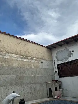 Leo bunny hot online show from October 13, 2025, 8:43 pm