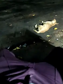 Snapshot of bigger786 chatting on June 6, 2026, 8:36 pm bigger786 online show from June 6, 2026, 8:36 pm