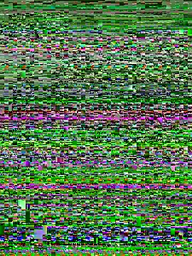 Curveysinaa online show from November 4, 2025, 5:44 am