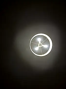 Snapshot of leloupblanc5304 chatting on February 26, 2025, 7:42 pm leloupblanc5304 online show from February 26, 2025, 7:42 pm