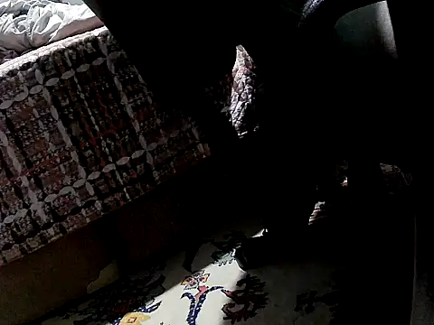 Snapshot of O_Black123 chatting on October 12, 2025, 5:14 pm O Black123 online show from October 12, 2025, 5:14 pm