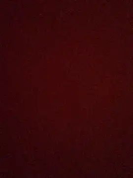 Snapshot of rosaditapussy chatting on September 9, 2025, 3:16 am rosaditapussy online show from September 9, 2025, 3:16 am