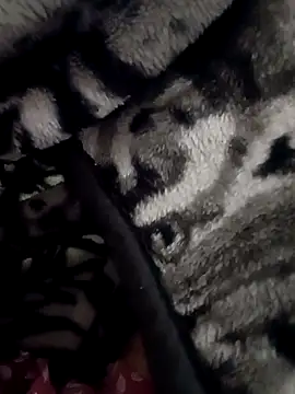 Snapshot of 7inchwala8797 chatting on November 4, 2025, 1:37 pm 7inchwala8797 online show from November 4, 2025, 1:37 pm