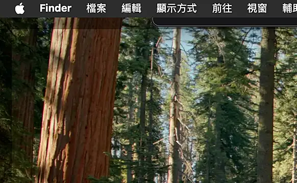 Snapshot of ex199212 chatting on March 8, 2025, 1:50 am ex199212 online show from March 8, 2025, 1:50 am